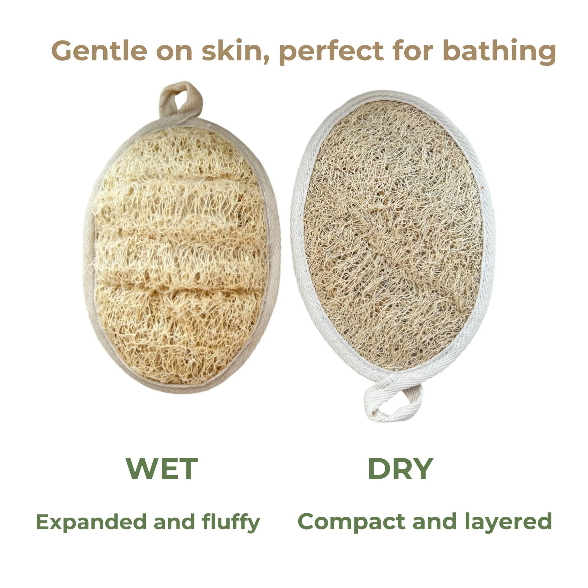 A comparison of an oval-shaped loofah sponge in two states: 'Wet' on the left, appearing expanded and fluffy, and 'Dry' on the right, compact and layered. Text above reads 'Gentle on skin, perfect for bathing,' emphasizing the sponge's versatility for skincare.