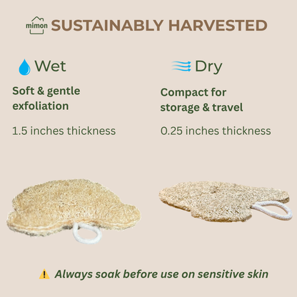 Exfoliating Body Scrubbers,All Natural Bear Shape Loofah Sponges (2 Pack)