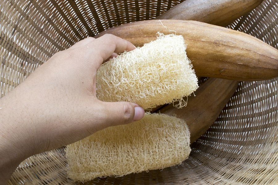A hand holding a natural loofah sponge over a woven basket containing dried loofah gourds. The image highlights the process of harvesting and preparing loofah for eco-friendly skincare and cleaning purposes